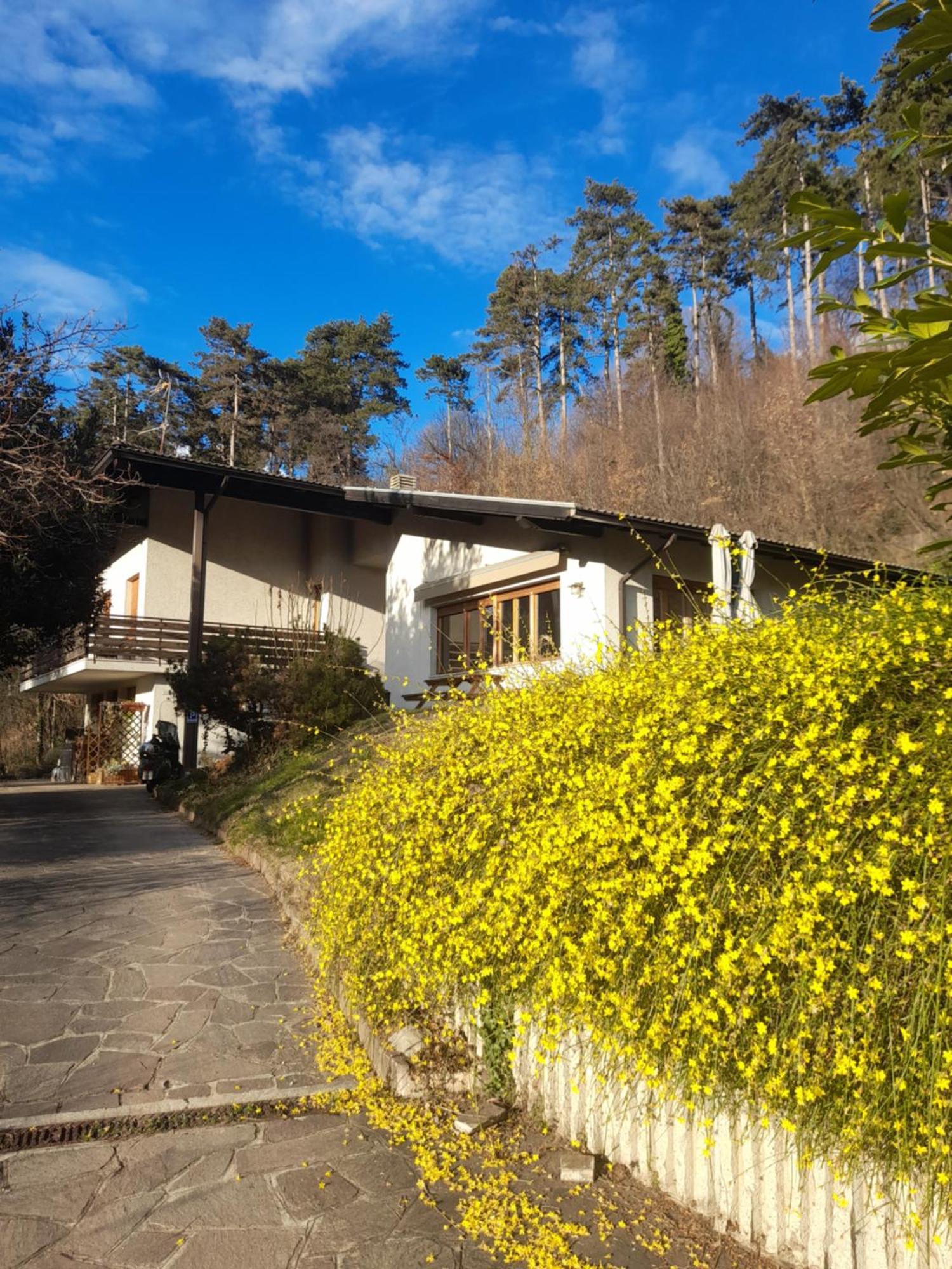 Bed and Breakfast Marzola Тренто Экстерьер фото